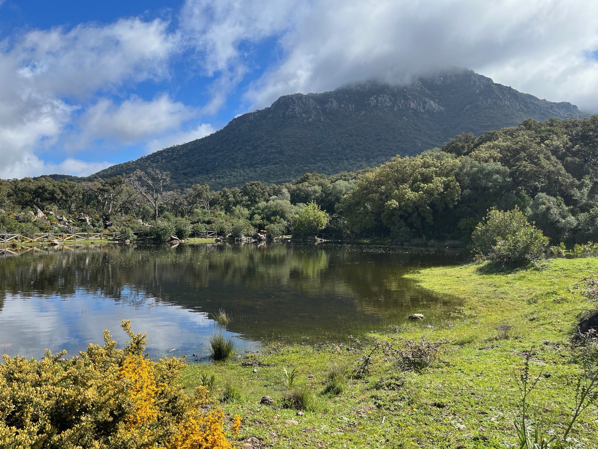 Natuur — Healing Grounds