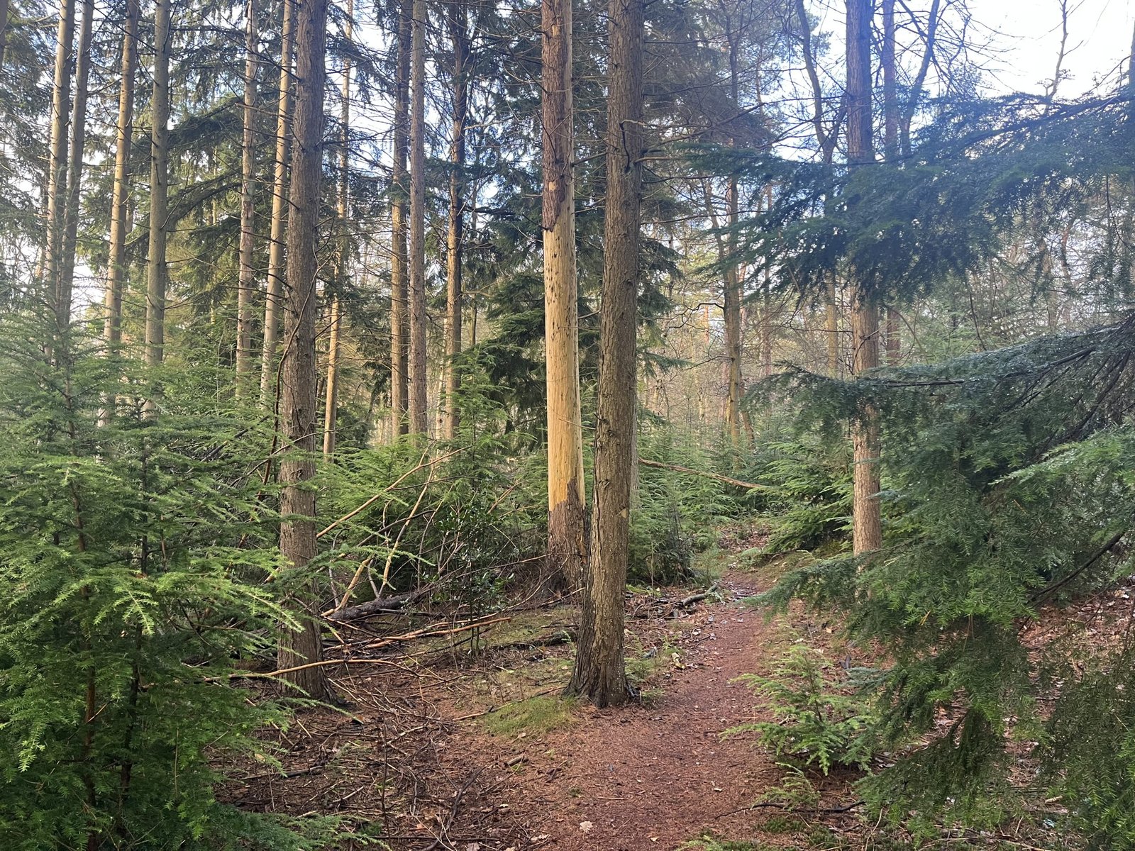 Healing Grounds voor mensen in een burnout