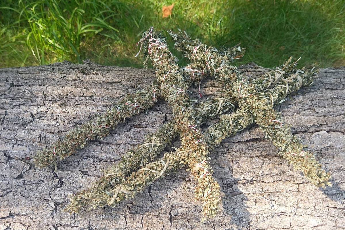 Healing Herbs: Bijvoet, moeder aller kruiden
